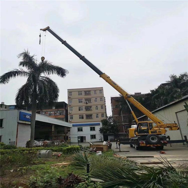 东山吊车出租的费用解析：你不可不知的行业秘密